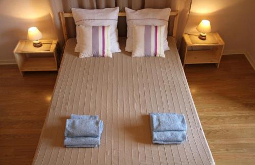Le Puy-en-Velay Apartment | Au Lion d'Or