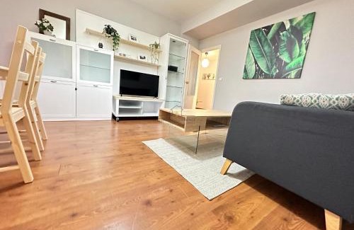 Ourense Apartment | Auria Centro