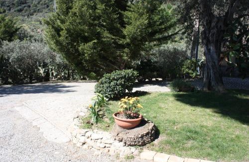 Santa Severina House | Azienda Agrituristica Le Puzelle