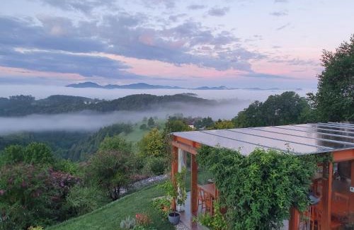 Rogaska Slatina Bed & Breakfast | B&B Villa Angelina