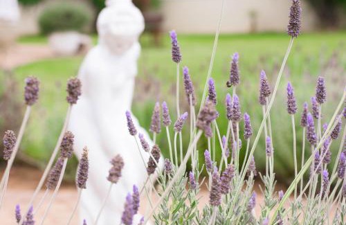 Oudtshoorn House | Bakenskraal Ostrich Palace