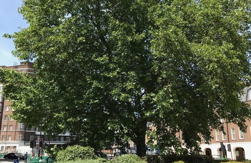 Bryanston and Dorset Square Apartment | Baker St Central London NW1 Stylish 2 Bedroom Apartment