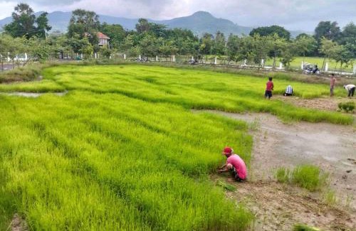 Kampot House | Baksaei Retreat Ricefield Villas