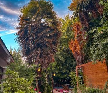 Calle Larga Resort | Barros Wellness & Spa Resort Boutique