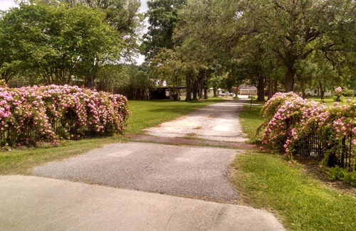 Abbeville Cottage | Bayou Rose Bed and Boudin. on Banks of Vermilion River