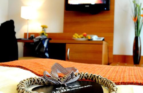 Bad Kreuznach Hotel | BC Hotel Bad Kreuznach mit Restaurant Mühlentor