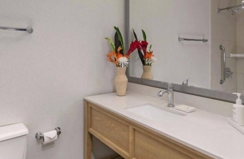 Mission Beach Hotel | Beach Escape! 3 Beautiful Units! Onsite Pool! Minutes to Pacific Beach!