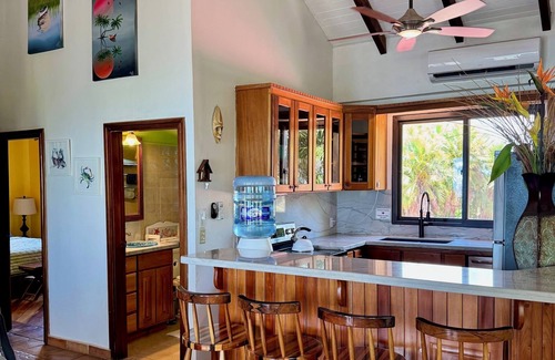 Plantation House | Beach Front, Private Home With Pool, Beach, Oceanfront