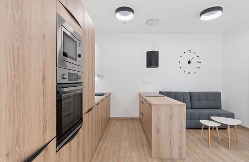 Janov nad Nisou Apartment | Beautiful apartment for 3 people with WIFI, TV and terrace