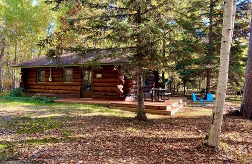 Backus Cabin | Beautiful log cabin on a private wooded lot