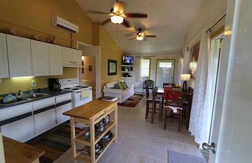 Villa Borinquen House | Beautiful,Sandy Beach! 50 steps to the BEACH! You get the entire house!