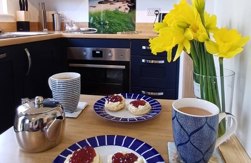 Treator Cabin | Beautiful tranquil Cabin nestled in nature, near Padstow & 7 Bays, pet friendly