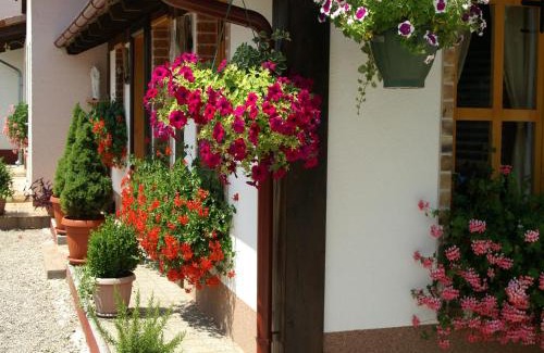 Irinovac Bed & Breakfast | Bed & Breakfast Helena