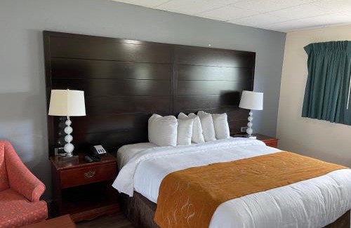 Bedford Hotel | Bedford Motel