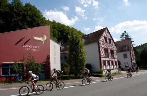 Goessweinstein Hotel | Behringers Freizeit - und Tagungshotel
