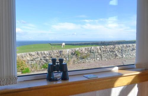Newton Stewart House | Bel-Mar