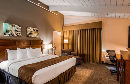 Quincy Hotel | Best Western Adams Inn Quincy-Boston