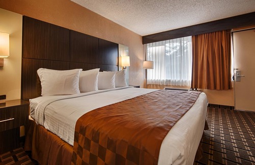 Cairo Hotel | Best Western Executive Inn