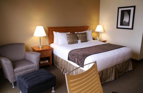 Downtown San Diego Hotel | Best Western Plus Bayside Inn