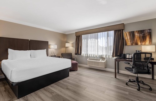 Wilshire Center Hotel | Best Western Plus LA Mid Town Hotel