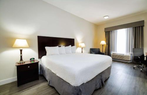 Sugar Land Hotel | Best Western Sugarland Inn