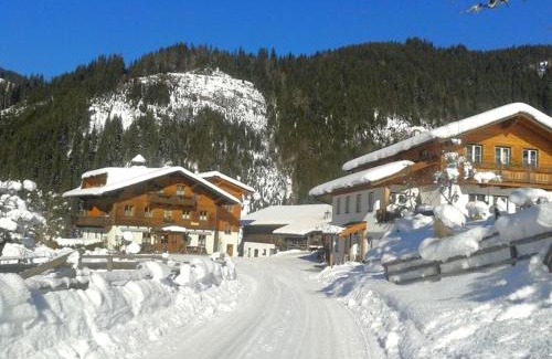 Eben im Pongau House | Biobauernhof Windbachgut