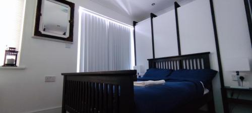 Evelyn House | Birds Nest Residency