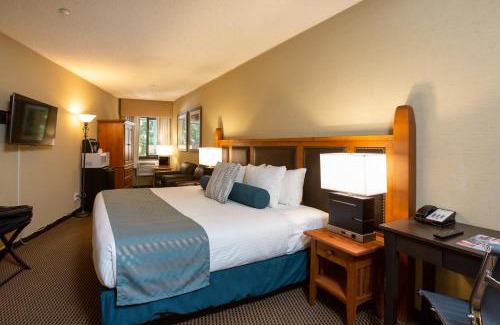 Whistler Village Hotel | Blackcomb Lodge