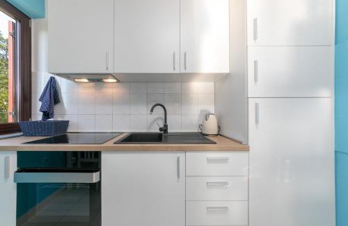 Flengi Apartment | Blue Apartment