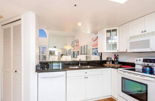 Mid Island Condo | Blue Lagoon Estate