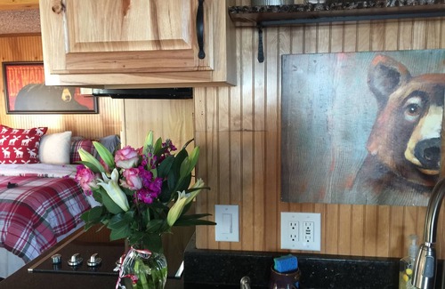 Morganton Cabin | Blue Ridge Mountain Cabin With Million Dollar View