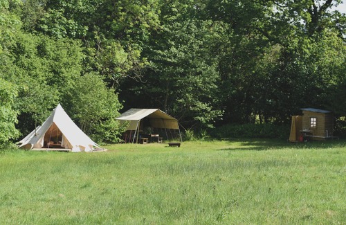 Cullompton RV Rental | Bluebell Brook CampnSecluded camping in 13 acres of magical meadow and woodland.