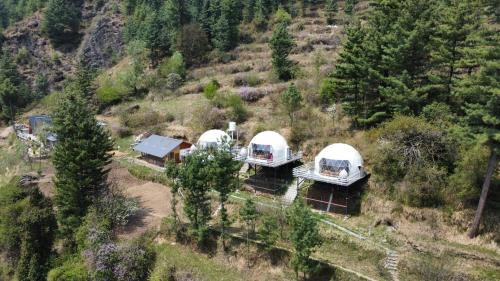 Banjar Other | Bohemian Bubble by Soho House