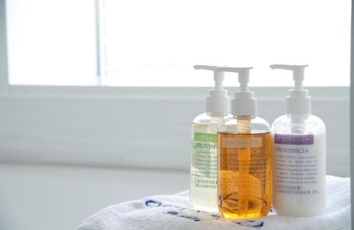 Kusatsu Hotel | Boston Plaza Kusatsu Biwa Lake - Vacation STAY 15463v