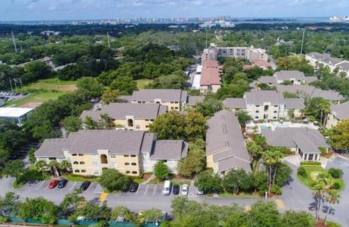 Clearwater Apartment | Bright and Spacious 1Bed 1Bath condo