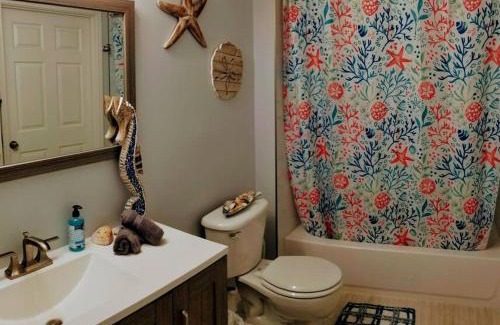Clearwater Apartment | Bright and Spacious 1Bed 1Bath condo