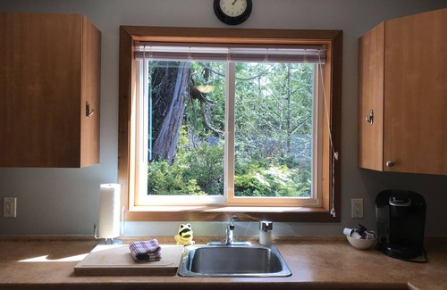 Ucluelet Apartment | Bright Forest Suite in Central Ucluelet, BC