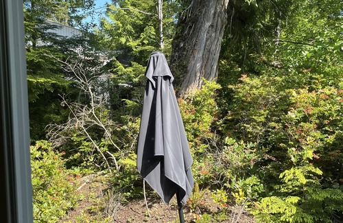 Ucluelet Apartment | Bright Forest Suite in Central Ucluelet, BC