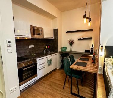 Brno-stred Apartment | Brno - Mendel square apartment