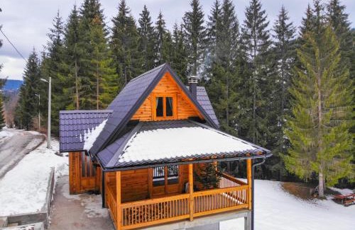 Zlatibor Ski Chalet | Brvnara Vukovine