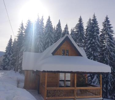 Zlatibor Ski Chalet | Brvnara Vukovine