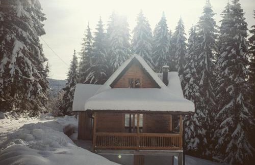 Zlatibor Ski Chalet | Brvnara Vukovine