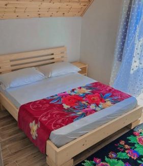 Shale House | Bujtina Kometa