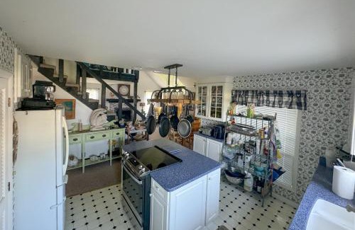 Indian River House | Burt Lake Cottage
