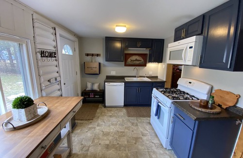 Indian River Cottage | Burt Lake waterfront - huge dock, fire pit and incredible views
