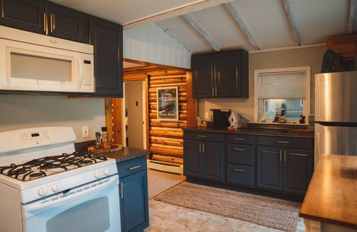 Indian River Cottage | Burt Lake waterfront - huge dock, fire pit and incredible views