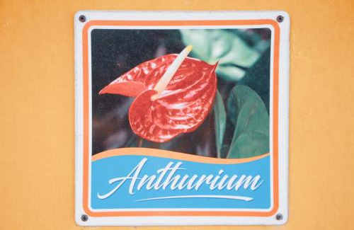 Arnos Vale Apartment | Buttercup Cottage Apartments