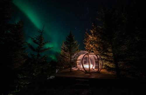 Selfoss Other | Buubble Hotel - Ölvisholt