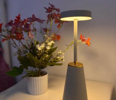 Mata Redonda Apartment | Cómodo mini apartamento en La Sabana, San José