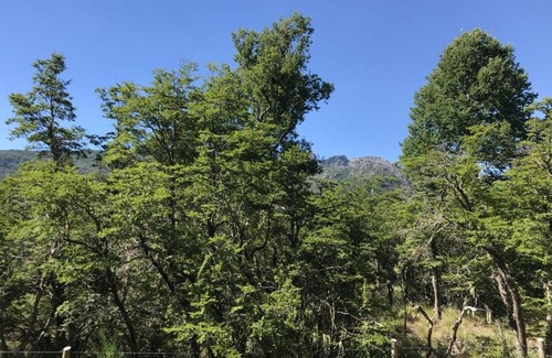 Pinto Cabin | Cabañas JL